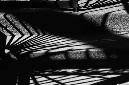 _DSC4333%20(1)