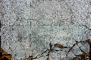_DSC4344%20(1)