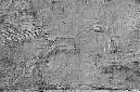 _DSC4347%20(1)