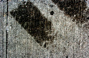 _DSC4358%20(1)