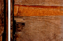 _DSC4371%20(1)