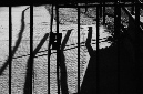 _DSC4395%20(1)