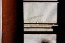 _DSC4415%20(1)
