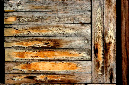 _DSC4426%20(1)