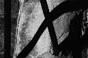 _DSC4436%20(1)