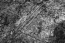 _DSC4438%20(1)