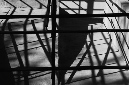 _DSC4461%20(1)