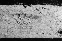 _DSC4488%20(1)