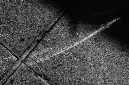 _DSC4492%20(1)