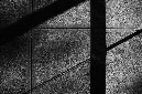 _DSC4493%20(1)