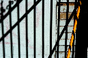 _DSC4496%20(1)