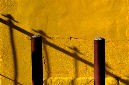 _DSC4517%20(1)