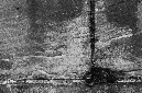 _DSC4541%20(1)