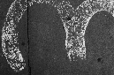 _DSC4544%20(1)