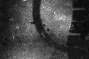 _DSC4556%20(1)