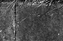 _DSC4566%20(1)