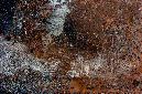 _DSC4575%20(1)