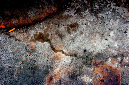 _DSC4577%20(1)