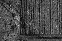 _DSC4586%20(1)