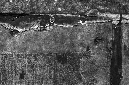 _DSC4589%20(1)