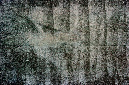 _DSC4601%20(1)