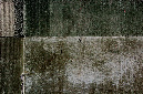 _DSC4602%20(1)
