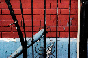 _DSC4617%20(1)
