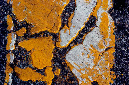_DSC4623%20(1)