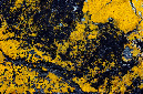 _DSC4628%20(1)