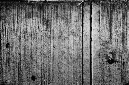 _DSC4636%20(1)
