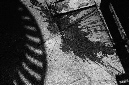 _DSC4644%20(1)