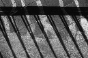 _DSC4648%20(1)