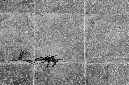 _DSC4656%20(1)