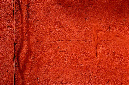 _DSC4660%20(1)
