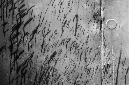 _DSC4666%20(1)