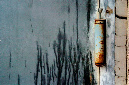 _DSC4672%20(1)