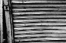 _DSC4674%20(1)