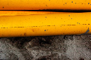 _DSC4689%20(1)