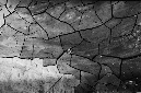 _DSC4694%20(1)