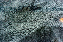 _DSC4703%20(1)