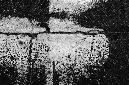 _DSC4706%20(1)