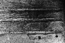 _DSC4709%20(1)