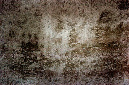 _DSC4730%20(1)