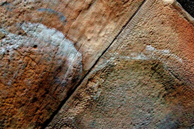_DSC4912%20(1)