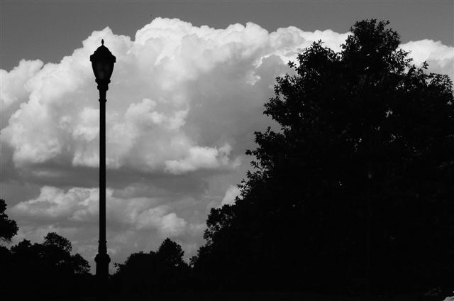 _DSC4922%20(1)