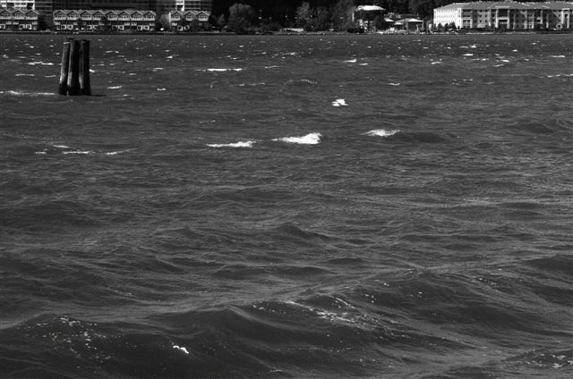 _DSC5047%20(1)