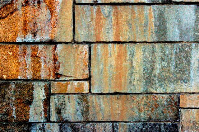 _DSC5065%20(1)