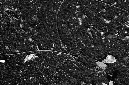 _DSC4849%20(1)