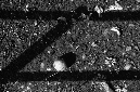 _DSC4853%20(1)