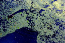 _DSC4885%20(1)